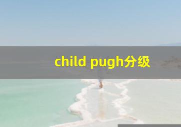 child pugh分级